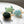 Turtle Hair Eco Friendly  Clip Claw, Large