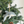 Handmade Felted Ornaments