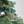 Handmade Felted Ornaments