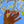 Koloa Farms
